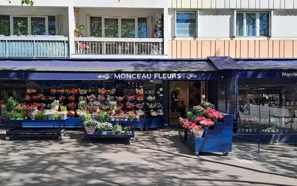Boutique 246 m²