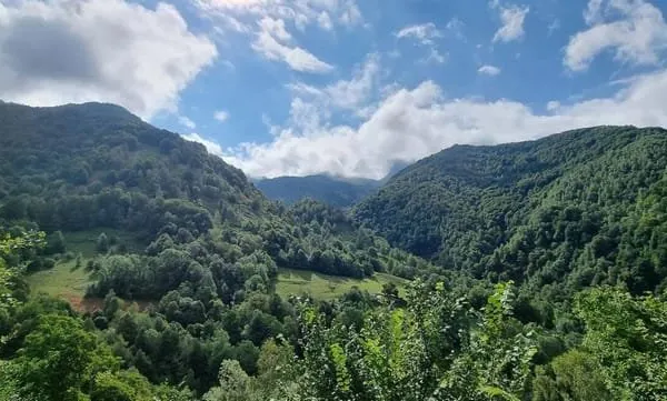 Terrain 5672 m²