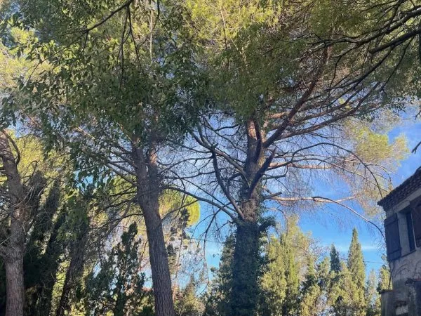Montpellier : Terrain à bâtir de 404 m2