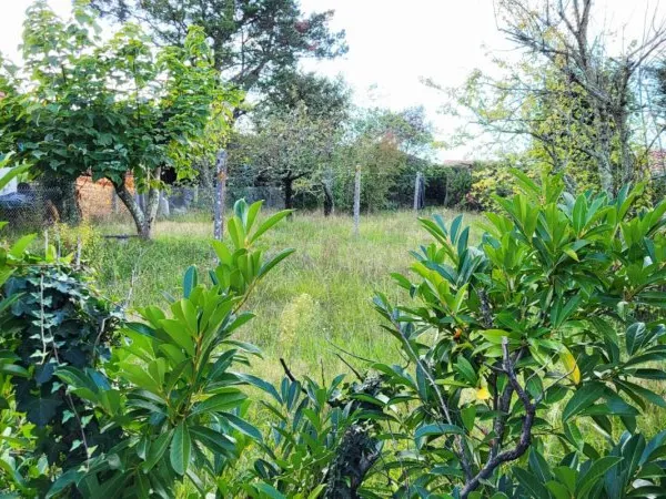 BASSIN D ARCACHON - 33470 - TERRAIN 920 M² ENV