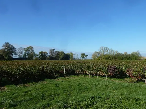 Charmante maison de plain-pied en bord de Garonne Idéale i