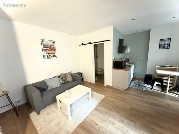 Appartement T1 meublé 30m² entièrement rénové - Hypercentre Pau (Place Clémenceau)