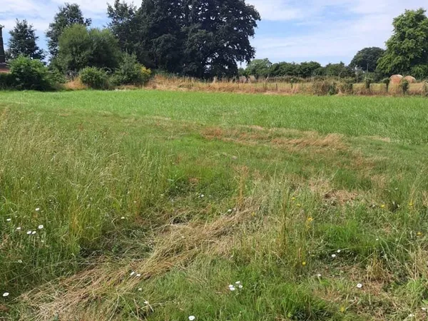 Terrain constructible 3000 m²