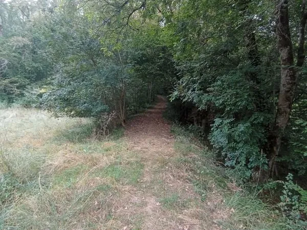 Terrain de 4 ha non constructible