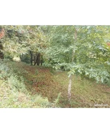 Terrain constructible