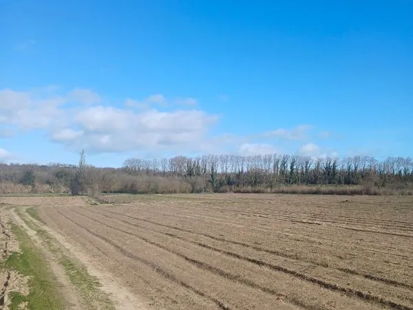 Terrain agricole 10hectare 50