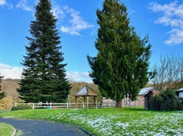 Terrain 470 m²