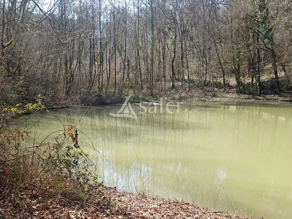 Terrain agricole et forestier 8,85 ha Landes (Castaignos