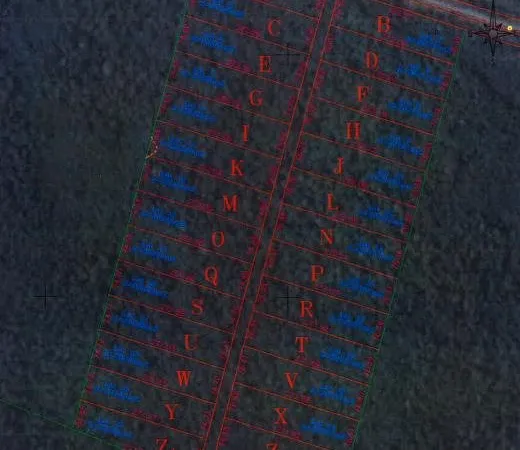 Terrain agricole à Iracoubo