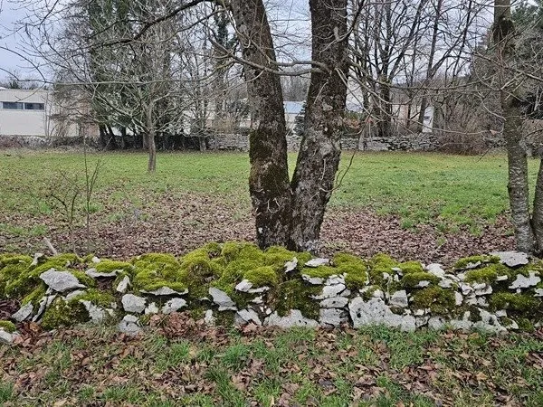 Terrain à bâtir