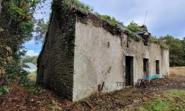 Bâtisse entièrement à réhabiliter sur un terrain de 1 000 m²