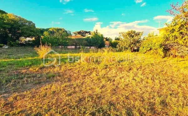 Terrain 558 m²