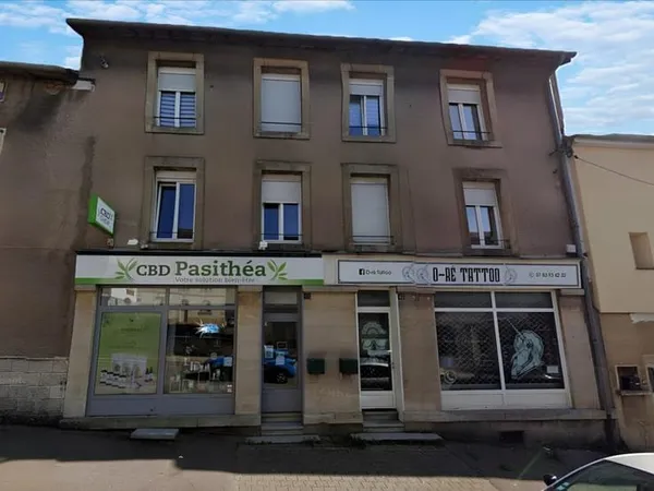 AUDUN-LE-ROMAN : Immeuble de Rapport avec 7 lots/ investisseur