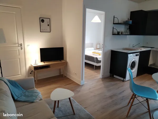 Appartement rénové, meublé et équipé (1 chambre) 29m2