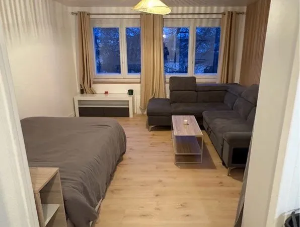 Appartement meublé rénové 26m2