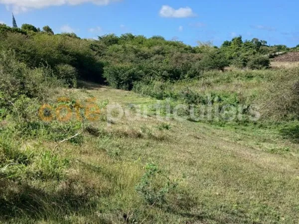 A vendre terrain Sainte Anne 1966 m2