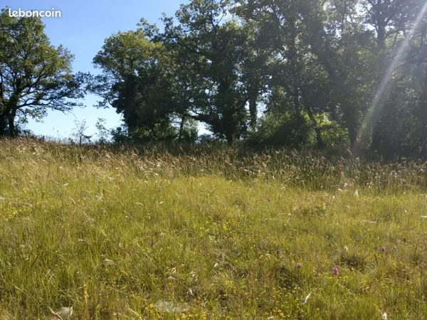LE VIGAN 46300 - TERRAIN A BATIR 3000 m2