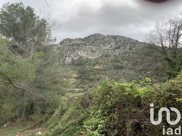 Terrain 1677 m²