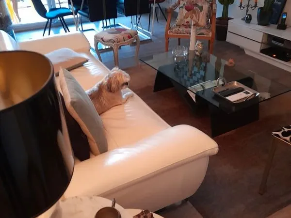 Très bel appartement à vendre