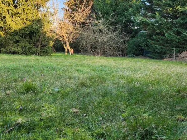 Terrain en individuel 338 m²