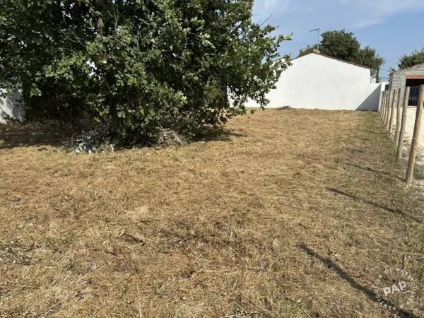 Terrain 393 m²