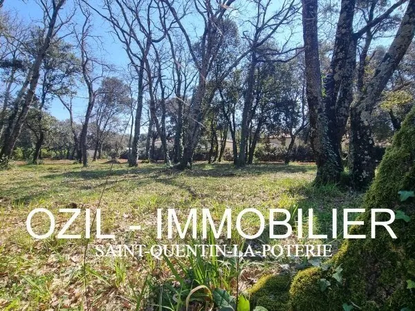 Terrain constructible