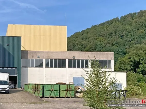 Immobilier Professionnel à vendre Sainte-Marie-aux-Mines