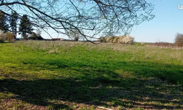 Location ou vente terrain CRISSEY (71100)