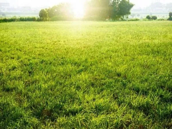 Terrain 406 m²