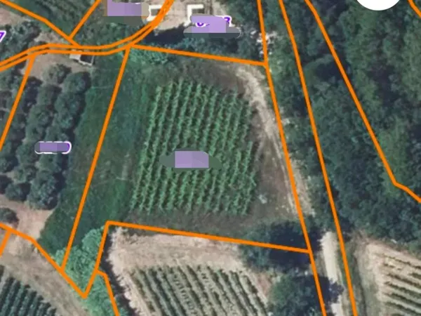 Terrain Agricole