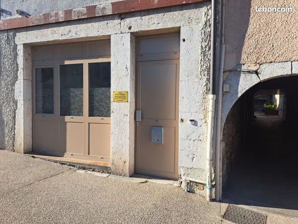 Location local professionnel