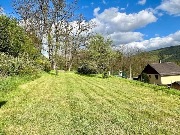 Terrain 533 m²