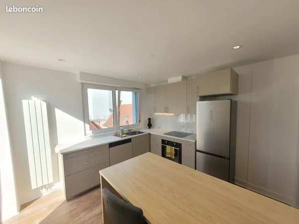 À Louer - Superbe Appartement Meublé de Caractère avec Terrasse XXL - Vieux Bischheim - climatisé