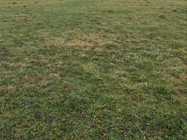 Terrain à bâtir