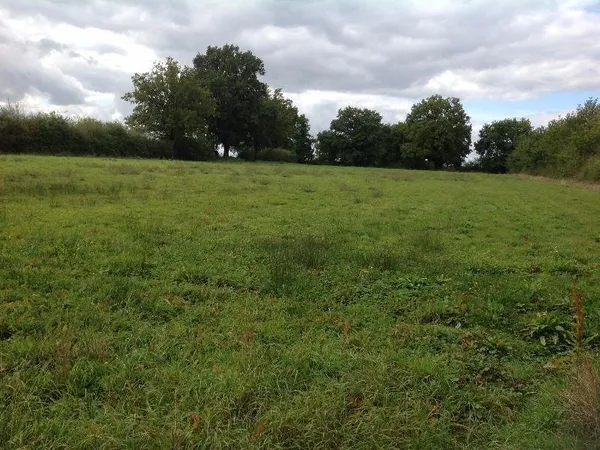 Terrain 9298 m²