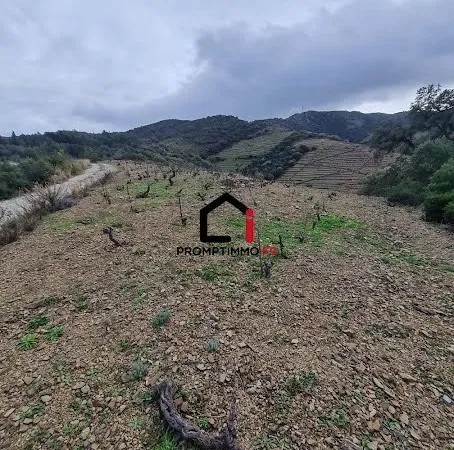 Terrain 9840 m²