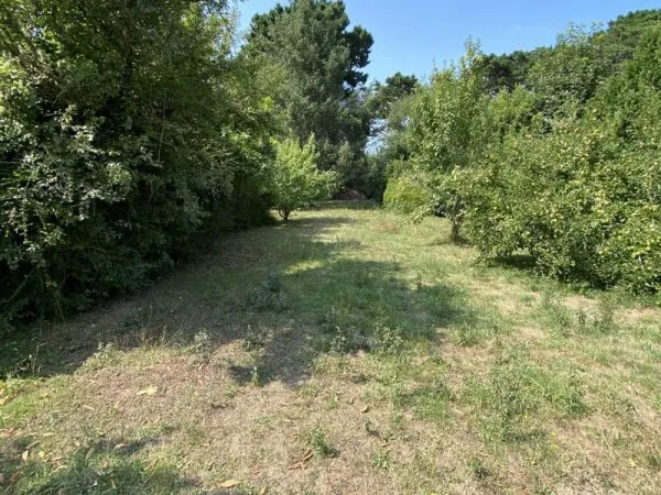 Terrain 911 m²