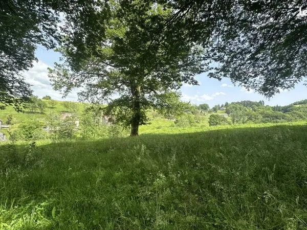 Terrain 1482 m² Sainte-Fortunade