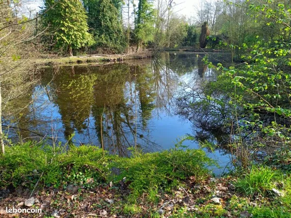 Terrain 4000 m² avec étang et cabanes - La Roche-sur-Yon