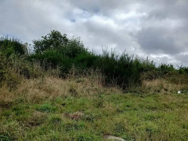 Terrain 1147 m²
