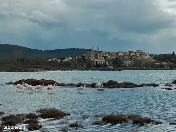Mas en bord d'étang de Thau
