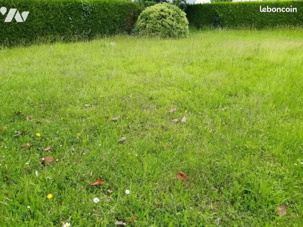 Terrain 385 m² CHAMPIGNE