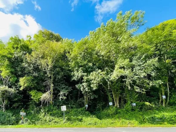 Terrain 1177 m²