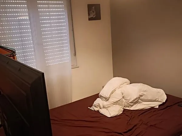 Chambre en colocation