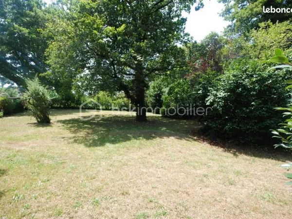 Forêt 800 m² Narrosse