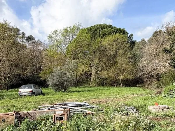 TERRAIN VIABILISE DE 1832 m2