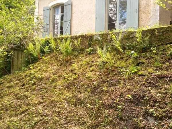 Maison 2 pièces 50 m²