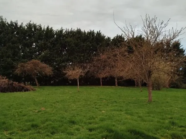 Vends terrain constructible de 2000 M2