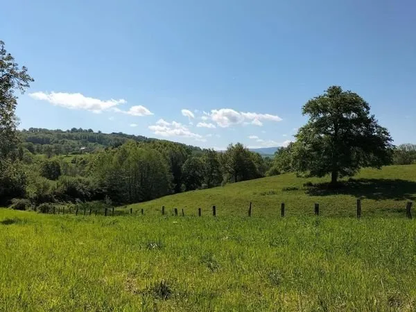 Terrain 1505 m² MOLLES