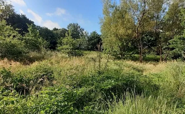 Terrain de loisir